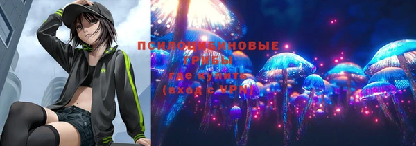 не бодяженный Алексин
