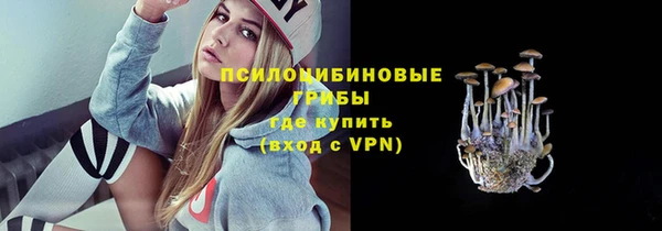не бодяженный Алексин