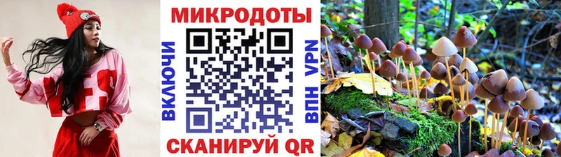 ссылка на мегу ССЫЛКА  что такое наркотик  Саранск  Галлюциногенные грибы Cubensis 
